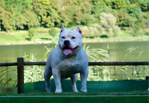 Tyson