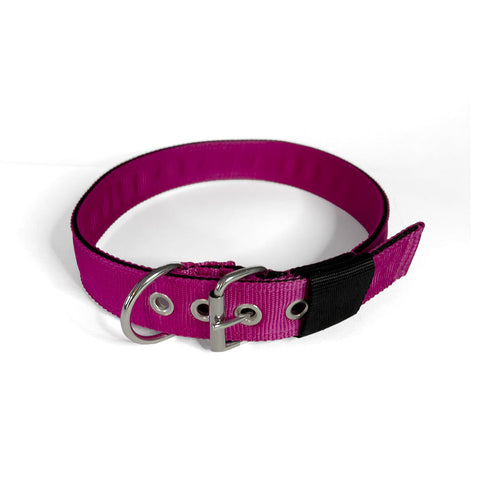 Collare Per Cani | I 5 Migliori Per Te (e Il Tuo Cucciolo - Foto 3