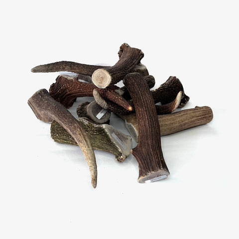 Corno di cervo per cane 100% naturale - Taglia L
