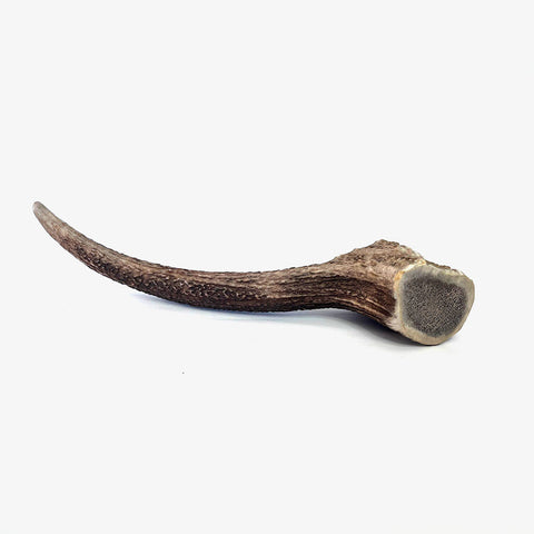 Corno di cervo per cane 100% naturale - Taglia L